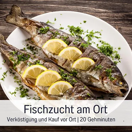 Apartment Bergkristall-logia Inklusive Wellness-saunanutzung *